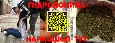 ECSTASY Кингисепп