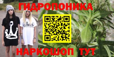 ECSTASY Кингисепп