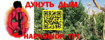 ECSTASY Кингисепп