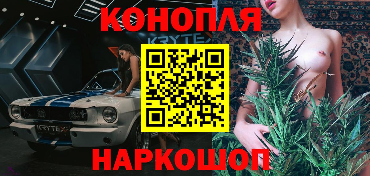 Конопля сатива Кубинка